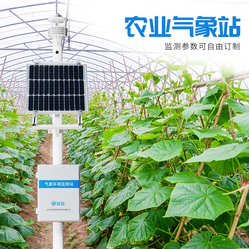 溫室栽培花卉，用農業氣象站調控小氣候